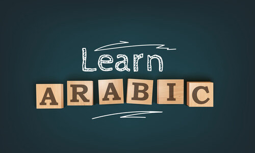 arabic studies course